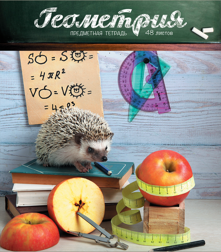 

Тетрадь предметная ПЗБМ тайная жизнь ежей, Геометрия, 48 листов