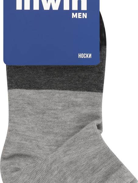 Носки мужские INWIN р. 25, Арт. BMS13-1