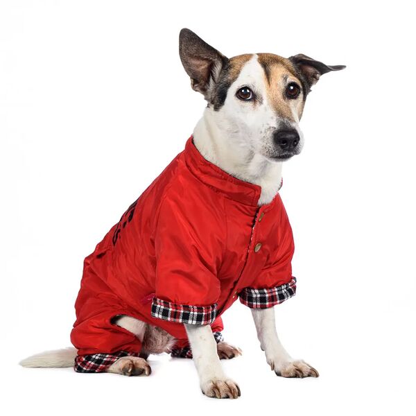 Комбинезон для собак 2XL красный (девочка)