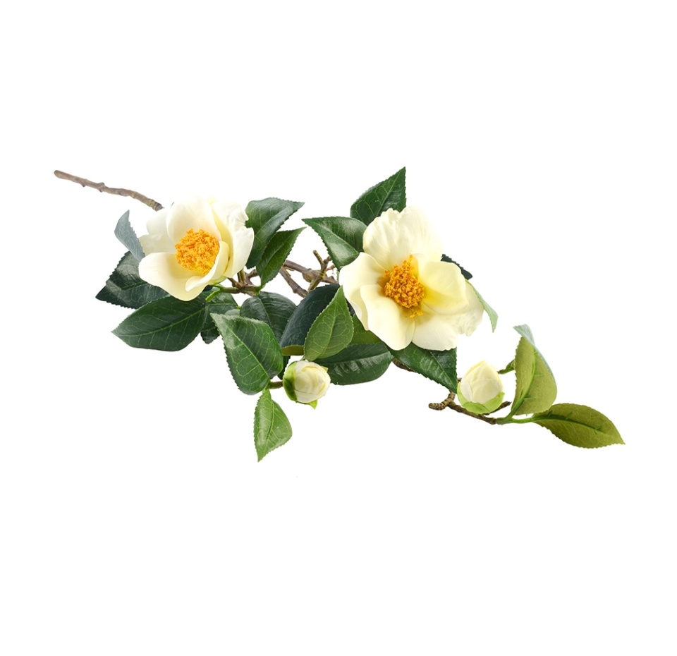 

Ветка белой магнолии Fiebiger Floristik 31 см Fiebiger Floristik шт 1 Германия