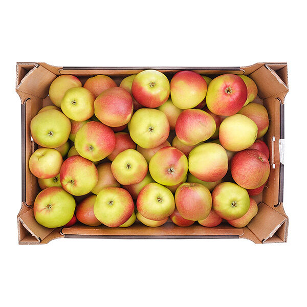 Яблоки апорт ОПТ