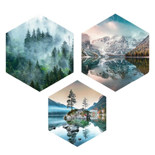 Комплект картин на холсте Скандинавия, 3 шт