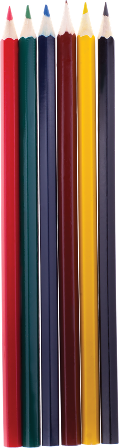 

Карандаши цветные ARTSPACE Зверята 6 цветов Арт. CP06_116