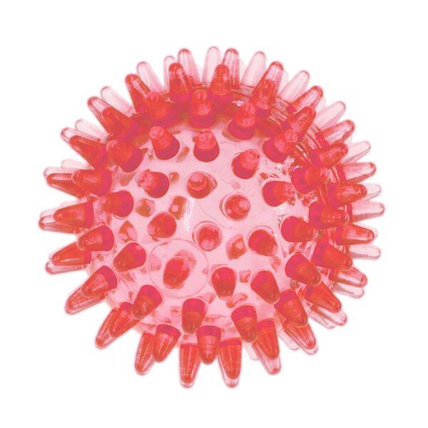 Pet Line Мяч массажный 7 см прозрачный Crystal ZooOne красный