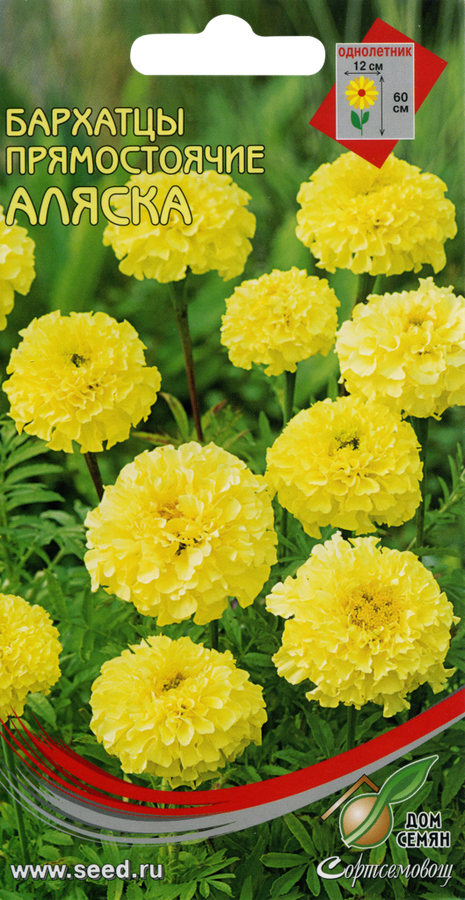 

Семена Дом семян Бархатцы (Тагетес) прямостоячие Аляска 2 г