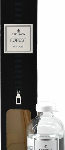 Диффузор Carnavon для дома ароматический