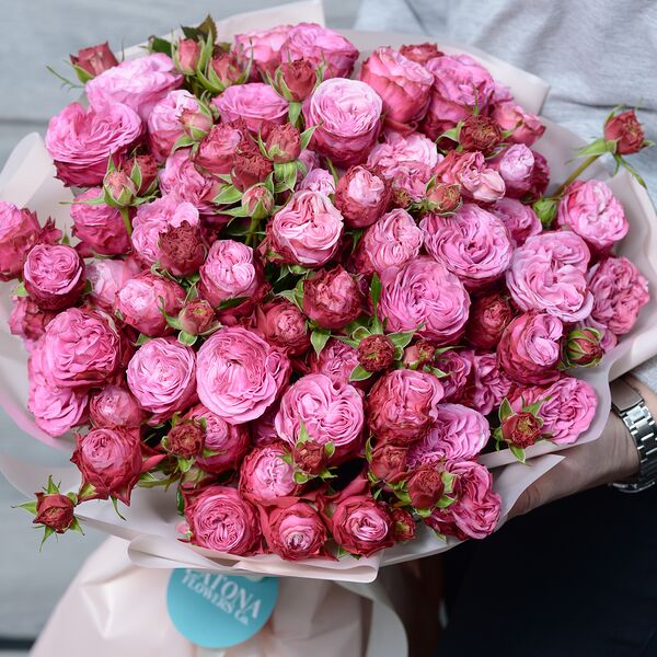 Вельветовые пионаварды