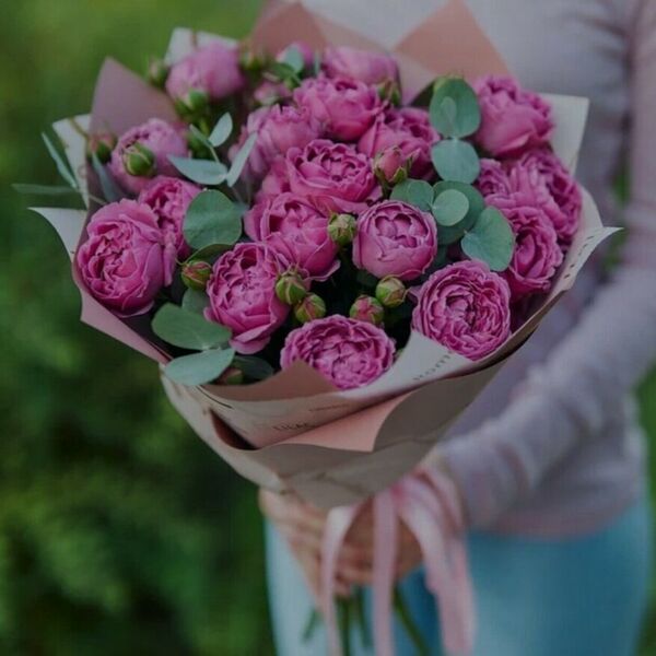 Кустовая роза пион