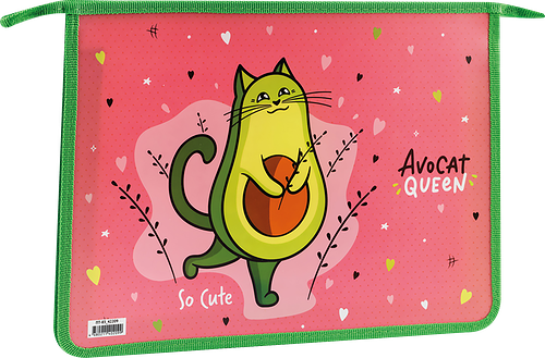 Папка для тетрадей ARTSPACE AvoCat пластиковая, А4, 1 отделение, на молнии, Арт. ПТ-83_42209