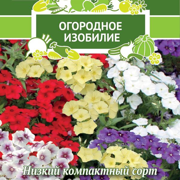 Семена Поиск Флокс Веснушка