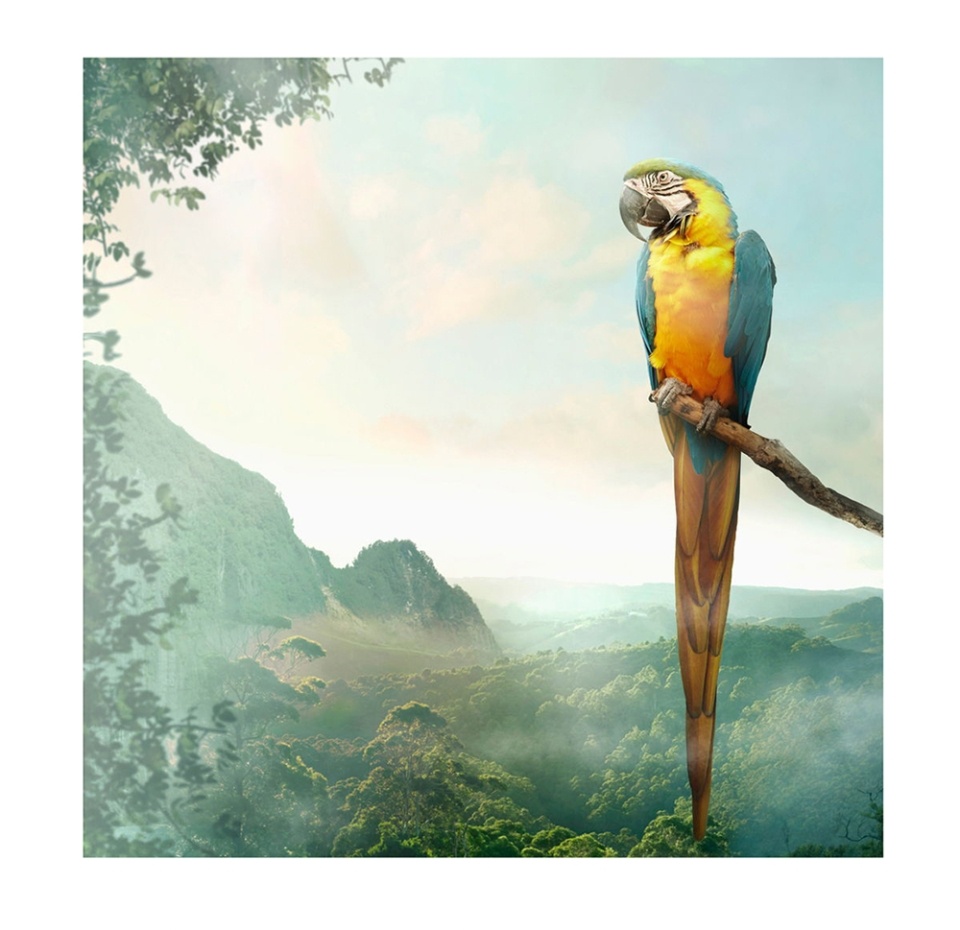 

Салфетки бумажные Paper+Design Parrot трехслойные 33х33 см, 20 шт.