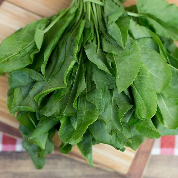 Щавель, 70гр