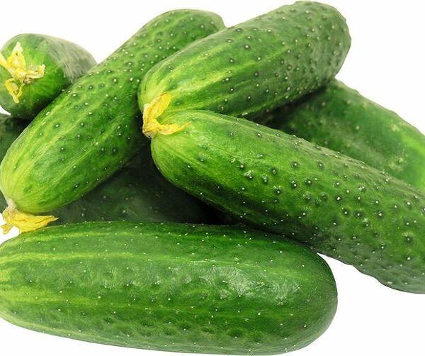 Огурцы короткоплодные, вес