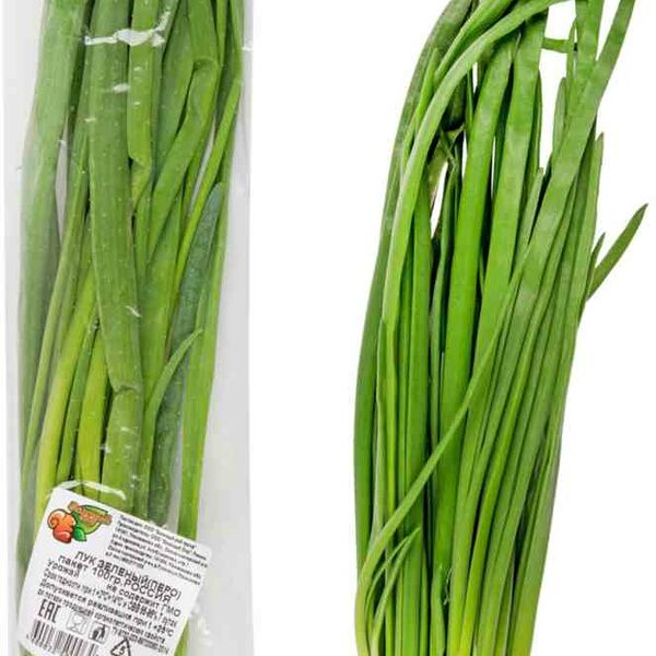 Лук зелёный Перо Зеленый сад
