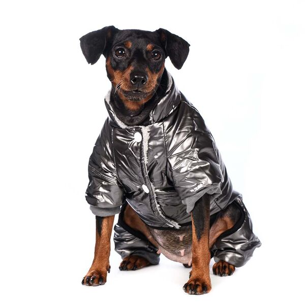 Комбинезон для собак 3XL серый (унисекс)