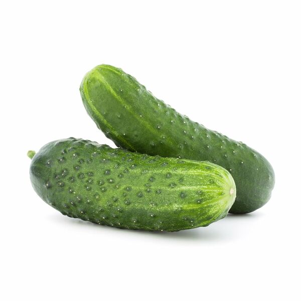 Огурцы короткоплодные тепличные ТМ Ашан