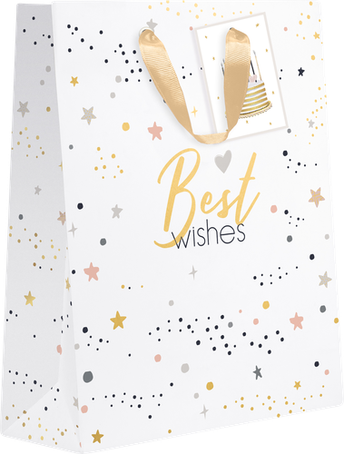 

Пакет подарочный Party 31х41х10 см, премиум в ассортименте 1 шт.