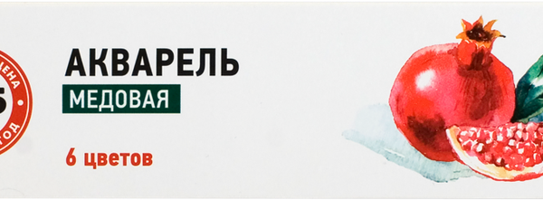 Акварель медовая 365 ДНЕЙ 6 цветов