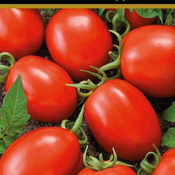 Семена Томат Матадор ТМ Поиск