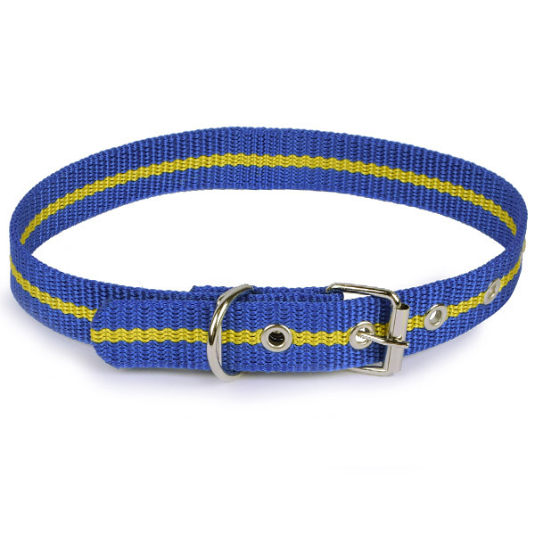 Ошейник для собак Adel Group капроновый, 2,5 см*58 см