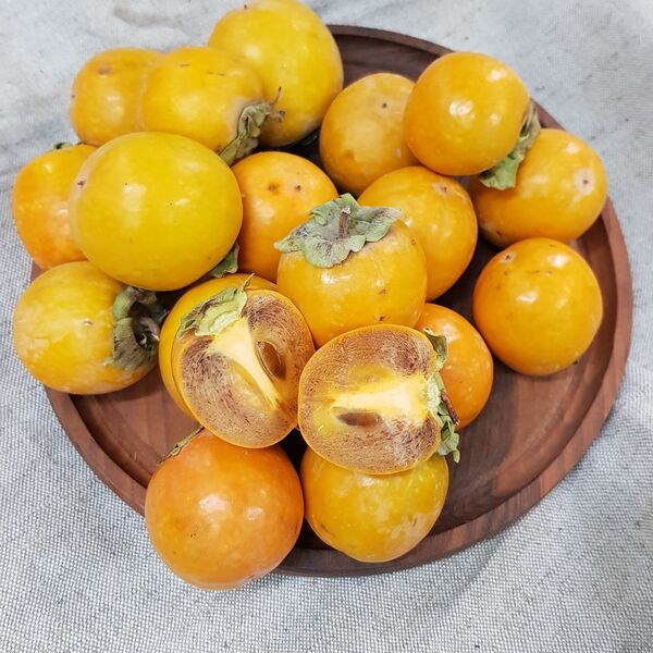 Хурма Королек (Danilovskymarket)