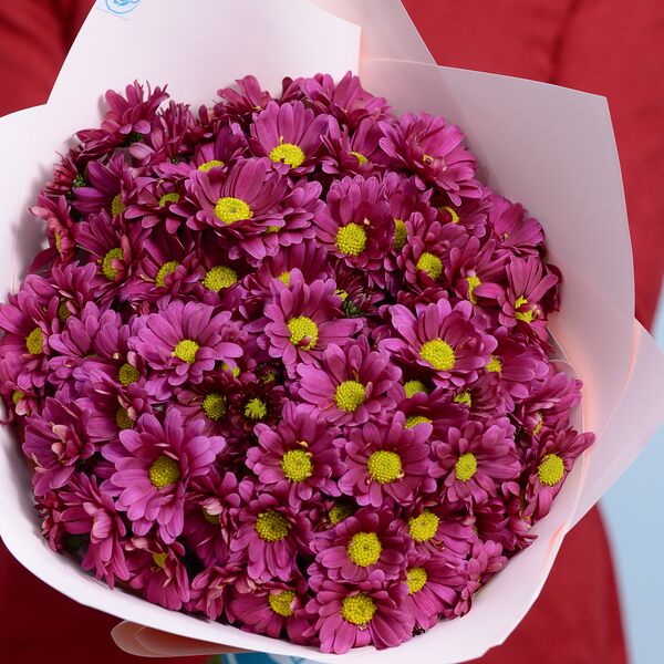 Մոնոփունջ Том Форд կանաչ պիոնավարդերով