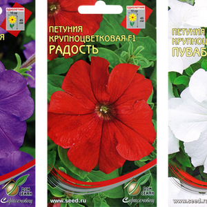 Семена Петуния гибридная, в ассортименте