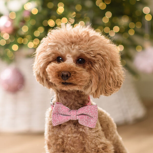 Галстук-бант с блестками для собак и кошек, 9х5 см, розовый