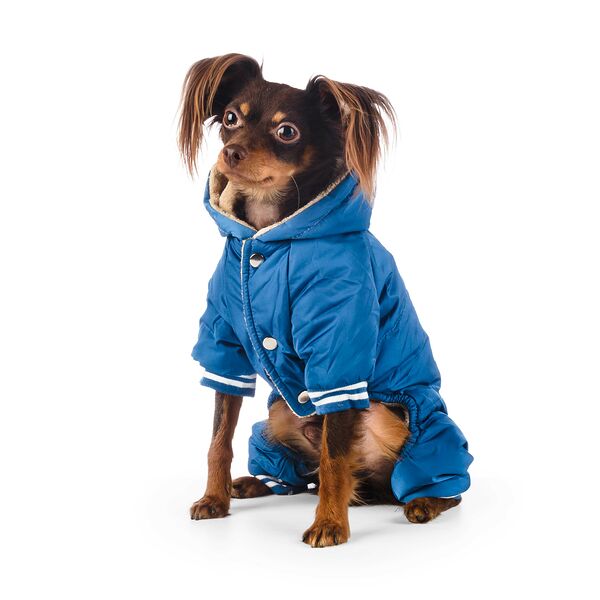 Комбинезон с капюшоном для собак S синий (унисекс)