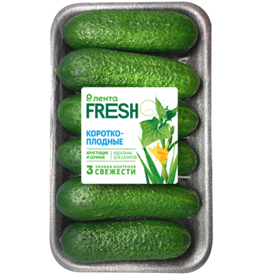 Огурцы короткоплодные ЛЕНТА FRESH колючие