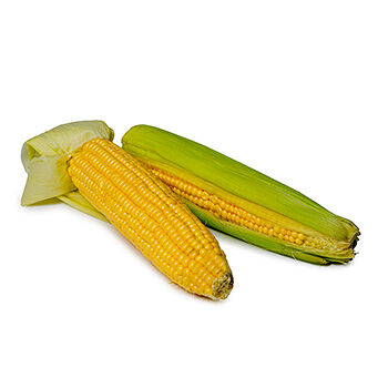 Кукуруза свежая