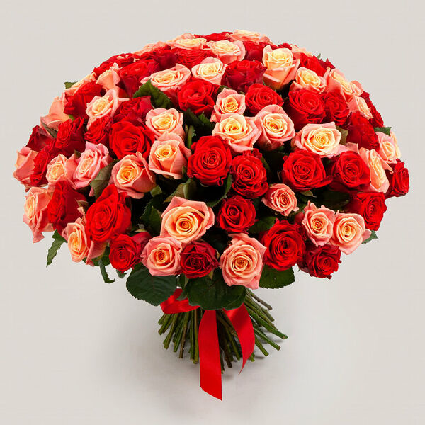 Букет из 101 розы Румянец зари 40 см