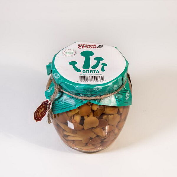 Грибы маринов. 