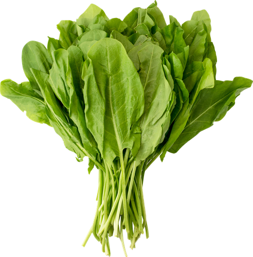 

Щавель свежий Зелёная лавка, вес