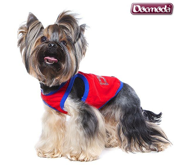 Майка для собак Dogmoda Трансфер M (унисекс)