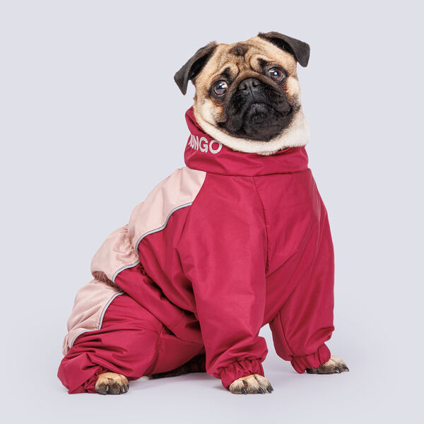 Комбинезон с флисовой подкладкой для мопса, 57х34х34 см, пудра-бордо (девочка)