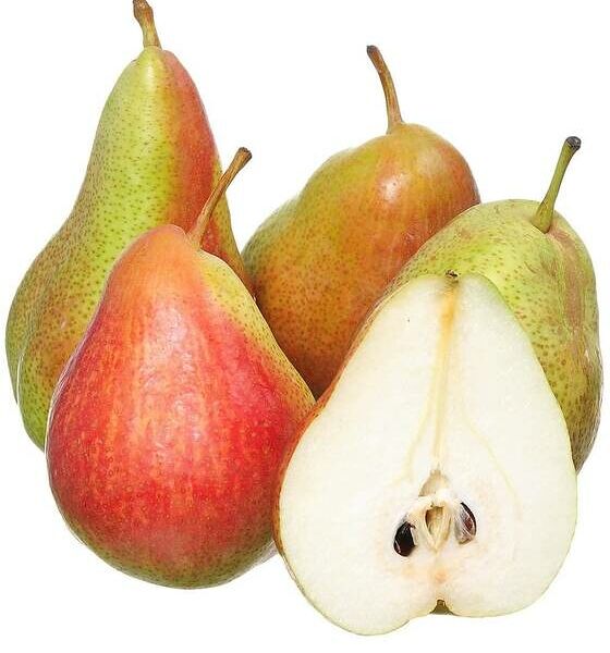 Груша Форел