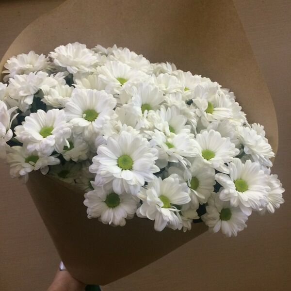 15 хризантем в крафте