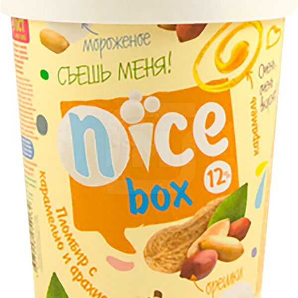 Мороженое Пломбир Nice box Карамель Арахис