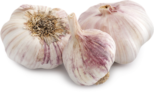 

Чеснок фермерский шейкер 150 г