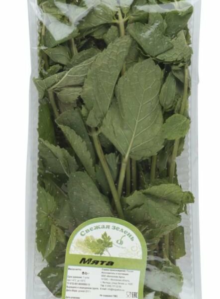 Мята Лето лоток 