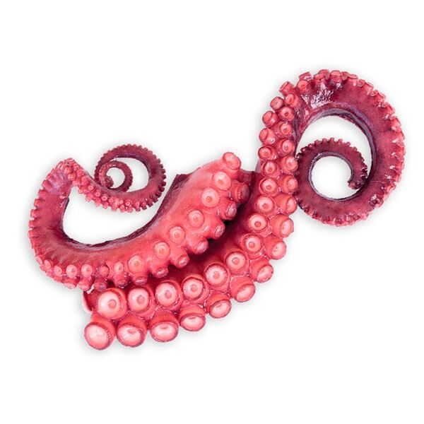Щупальца осьминога замороженные