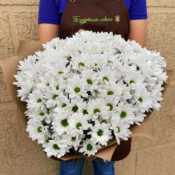 15 хризантем