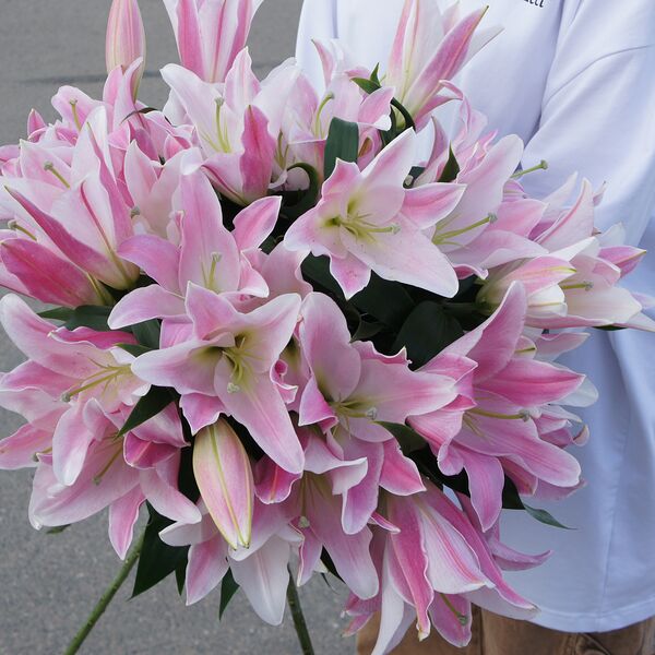 Монобукет из розовых лилий