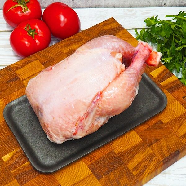 Цыпленок домашний