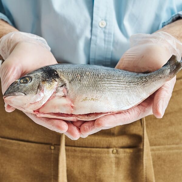 Дорадо тушка охлажденная потрошеная 320-520г