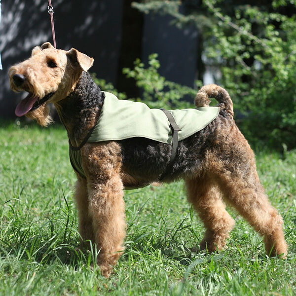 Охлаждающая попона для собак, 70 см, зеленый