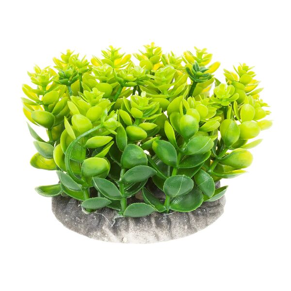 Растение зеленое 8082B 10x10x8cm