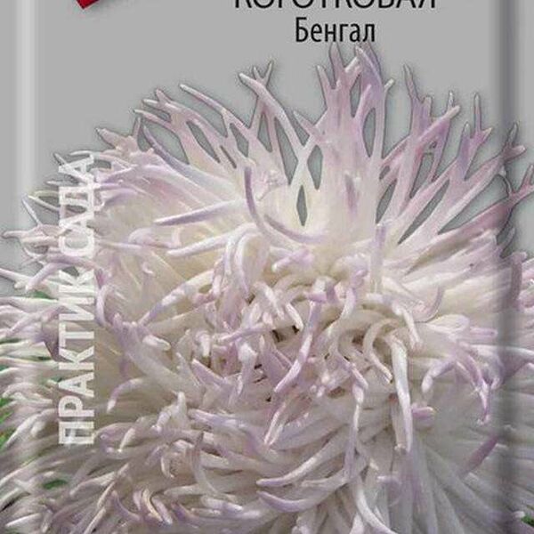 Семена Астра Коготковая бенгальская 0.3 г ТМ Поиск