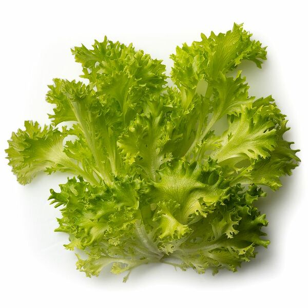 Салат Фриллис листовой хрустящий 100г